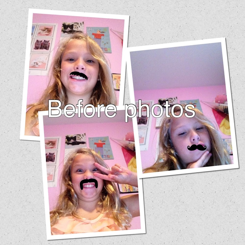 Meet your Posher, Ginger